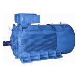 Bharat Bijlee Ltd. Motors